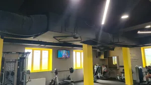 MEGA GYM Teretana Novi Sad