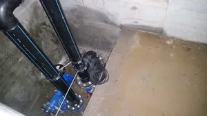 INDOMIE