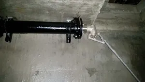 INDOMIE
