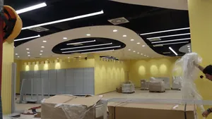 TC PLAZA BEOGRAD, VIŠNJICA-OBJEKAT DEXY CO KIDS
